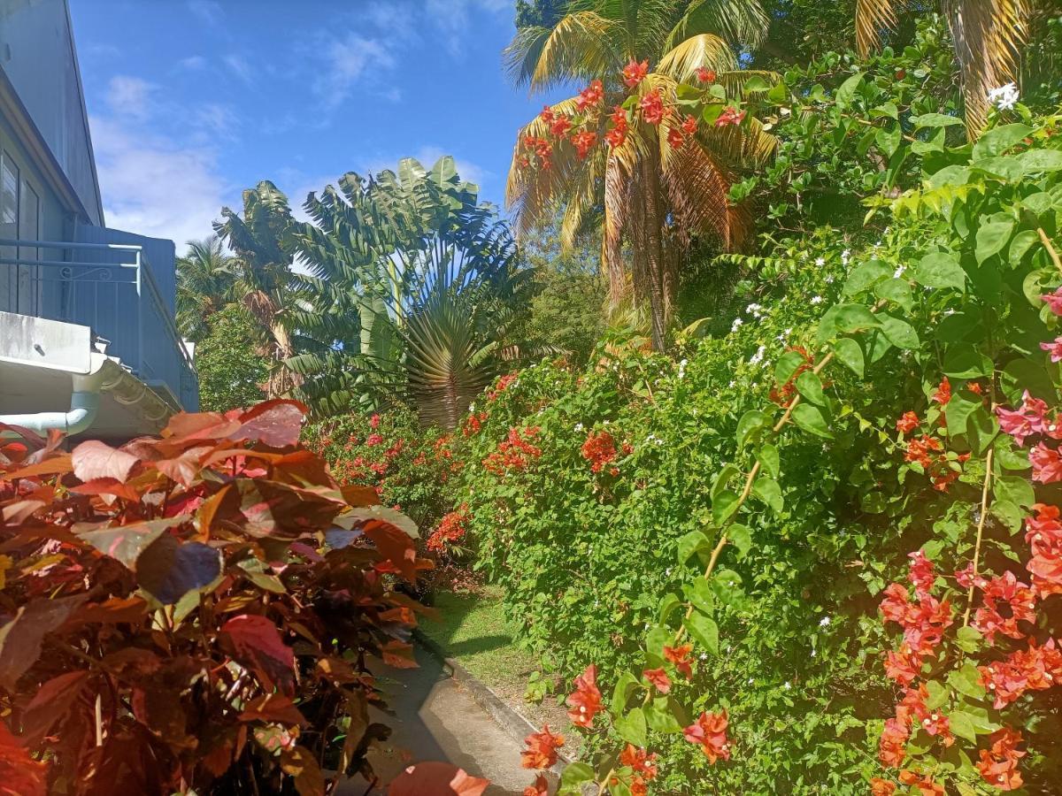 Le Colibri Ble Villa Sainte-Anne Dış mekan fotoğraf